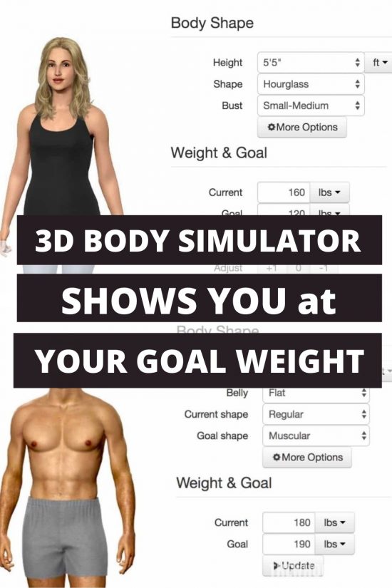 3d body visualizer